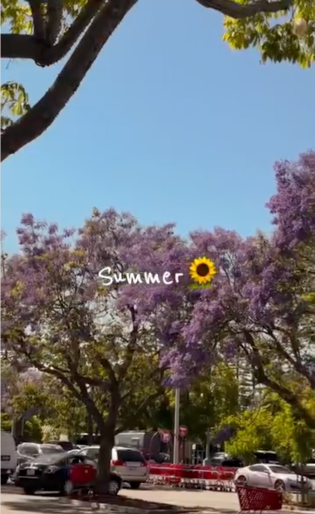 Reel still: purple jacaranda blossoms and blue sky with Summer text and sunflower emoji, cars below