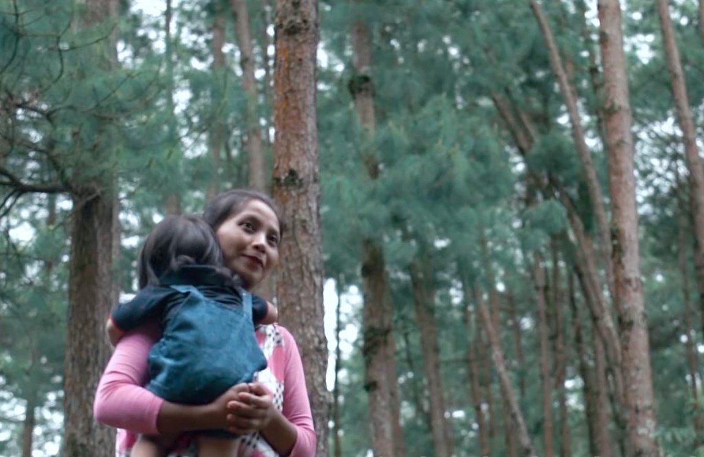 Still from PRIME Entrepreneurship Funding video — parent and child among pine trees in Meghalaya